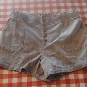 American Eagle Outfitters Size 18 Gray Mom Shorts